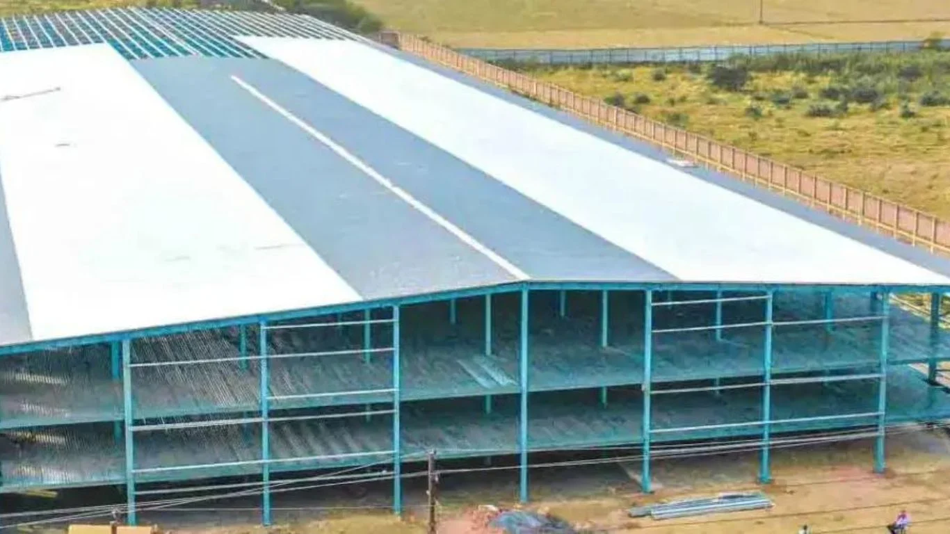 PEB Steel Structure
